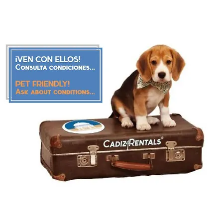 La Herencia Del Regidor By Cadiz4rentals * Cádis